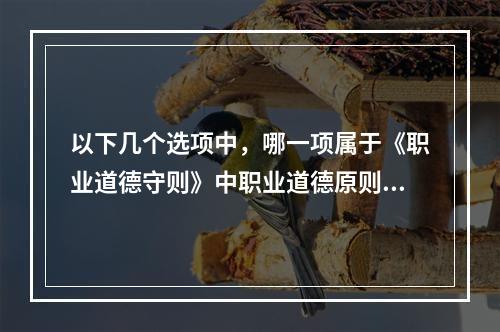 以下几个选项中，哪一项属于《职业道德守则》中职业道德原则的是