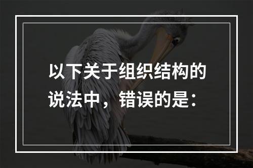 以下关于组织结构的说法中，错误的是：