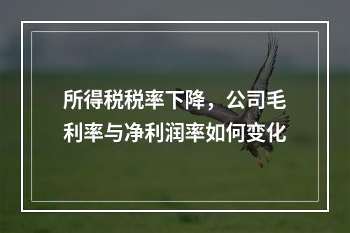 所得税税率下降，公司毛利率与净利润率如何变化