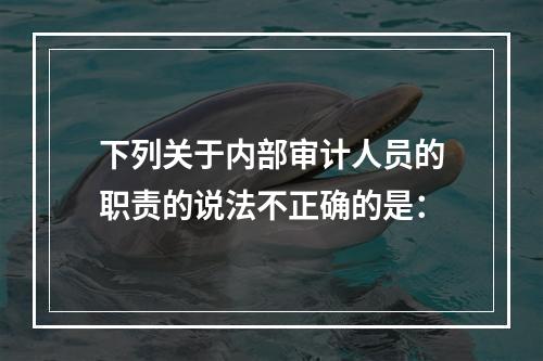 下列关于内部审计人员的职责的说法不正确的是：