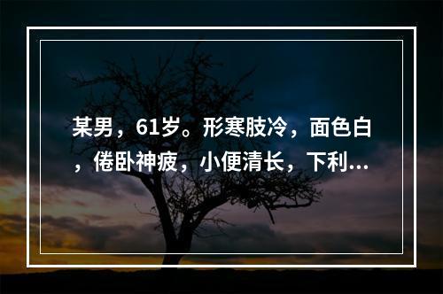 某男，61岁。形寒肢冷，面色白，倦卧神疲，小便清长，下利清谷