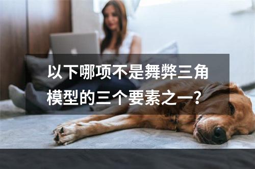 以下哪项不是舞弊三角模型的三个要素之一？