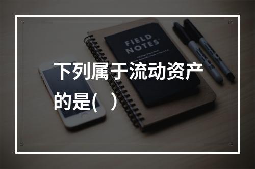 下列属于流动资产的是(   ）