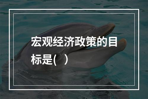 宏观经济政策的目标是(   ）