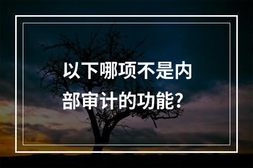 以下哪项不是内部审计的功能?