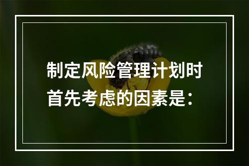 制定风险管理计划时首先考虑的因素是：