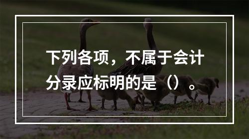 下列各项，不属于会计分录应标明的是（）。