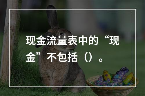 现金流量表中的“现金”不包括（）。