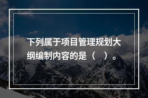 下列属于项目管理规划大纲编制内容的是（　）。