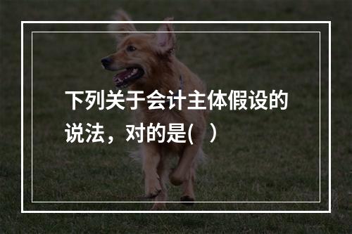 下列关于会计主体假设的说法，对的是(   ）