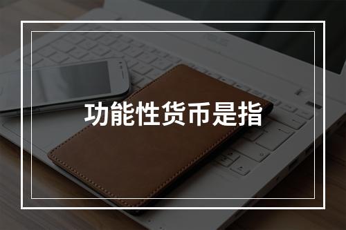 功能性货币是指