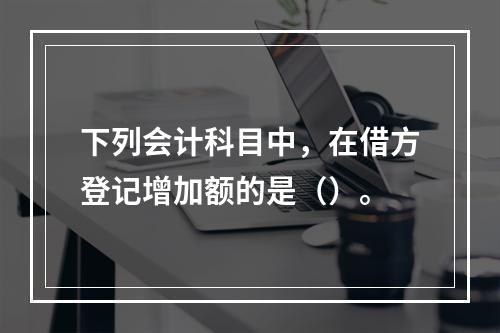 下列会计科目中，在借方登记增加额的是（）。