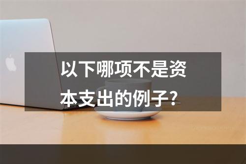 以下哪项不是资本支出的例子?