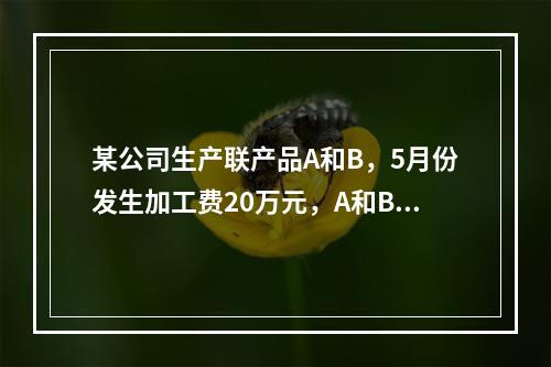 某公司生产联产品A和B，5月份发生加工费20万元，A和B在分