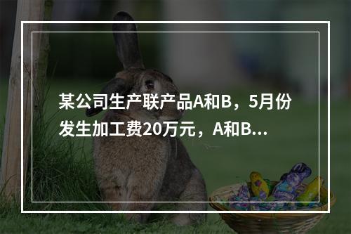 某公司生产联产品A和B，5月份发生加工费20万元，A和B在分