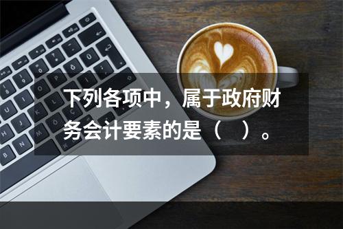 下列各项中，属于政府财务会计要素的是（　）。