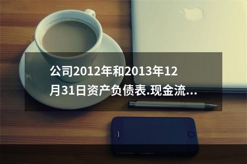 公司2012年和2013年12月31日资产负债表.现金流量