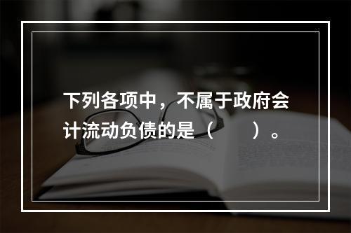 下列各项中，不属于政府会计流动负债的是（　　）。