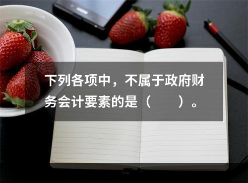 下列各项中，不属于政府财务会计要素的是（　　）。