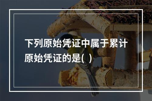 下列原始凭证中属于累计原始凭证的是(  )