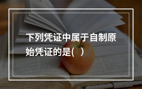 下列凭证中属于自制原始凭证的是(   ）