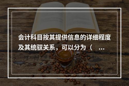 会计科目按其提供信息的详细程度及其统驭关系，可以分为（　　）