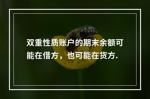 双重性质账户的期末余额可能在借方，也可能在货方.