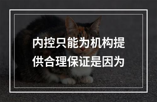 内控只能为机构提供合理保证是因为