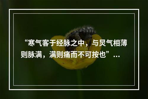 “寒气客于经脉之中，与炅气相薄则脉满，满则痛而不可按也”句中