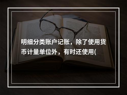 明细分类账户记账，除了使用货币计量单位外，有时还使用(