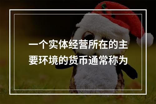 一个实体经营所在的主要环境的货币通常称为