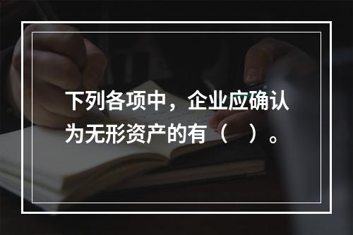 下列各项中，企业应确认为无形资产的有（　）。