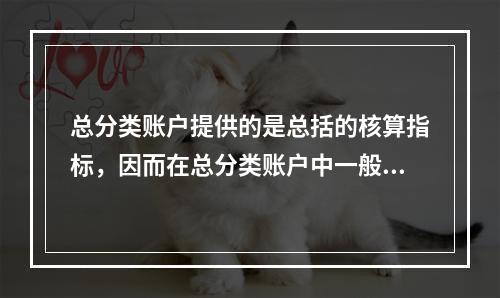 总分类账户提供的是总括的核算指标，因而在总分类账户中一般(