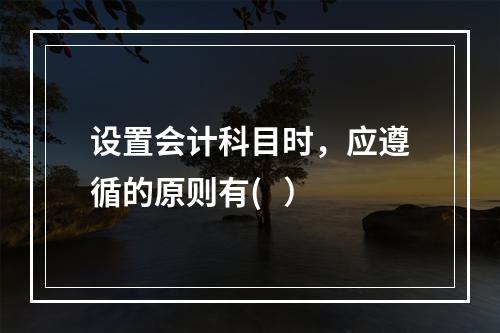 设置会计科目时，应遵循的原则有(   ）