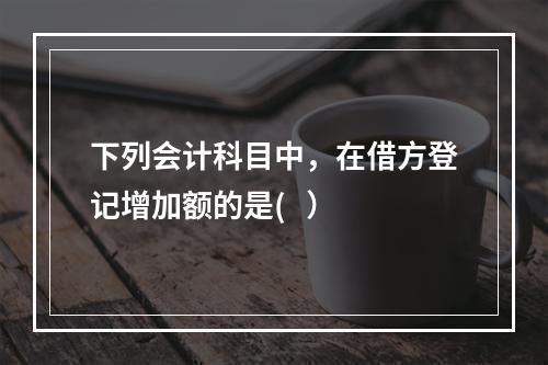 下列会计科目中，在借方登记增加额的是(   ）