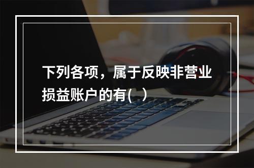 下列各项，属于反映非营业损益账户的有(   ）