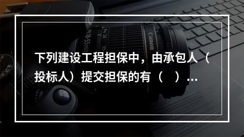 下列建设工程担保中，由承包人（投标人）提交担保的有（　）。