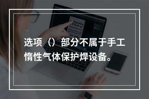 选项（）部分不属于手工惰性气体保护焊设备。