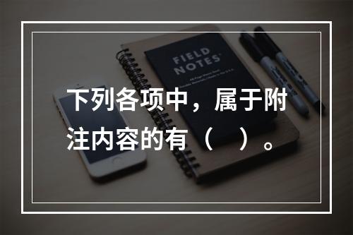 下列各项中，属于附注内容的有（　）。