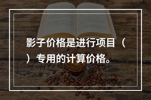 影子价格是进行项目（）专用的计算价格。