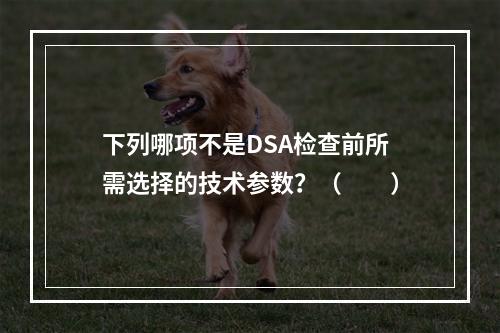 下列哪项不是DSA检查前所需选择的技术参数？（　　）