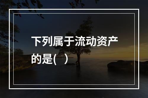 下列属于流动资产的是(   ）