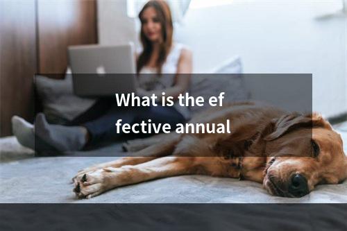 What is the effective annual