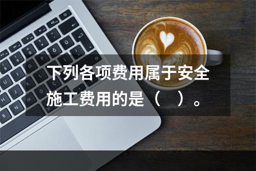 下列各项费用属于安全施工费用的是（　）。