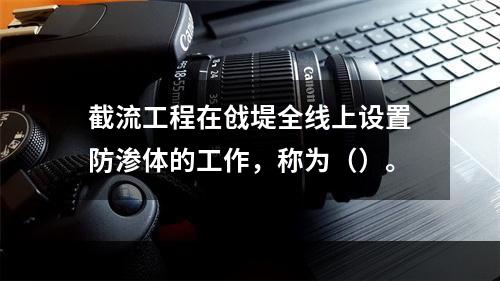 截流工程在戗堤全线上设置防渗体的工作，称为（）。