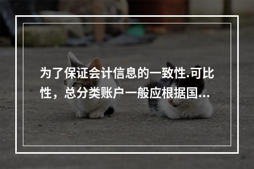 为了保证会计信息的一致性.可比性，总分类账户一般应根据国家统