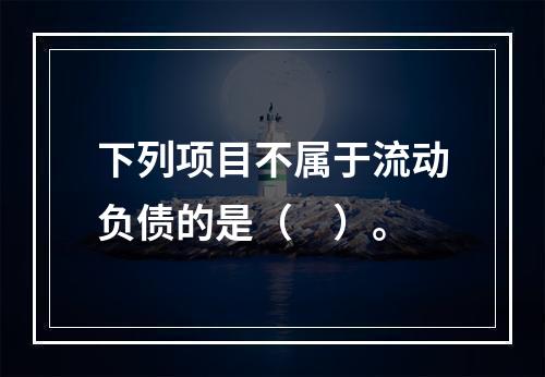 下列项目不属于流动负债的是（　）。