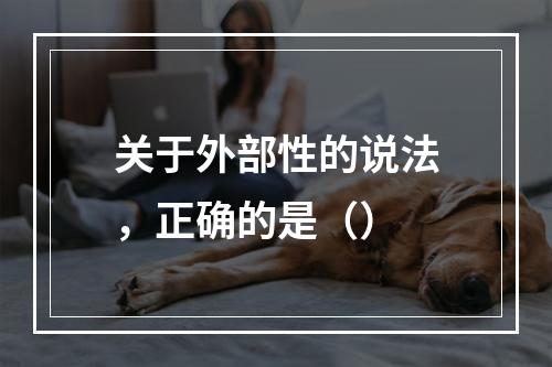 关于外部性的说法，正确的是（）