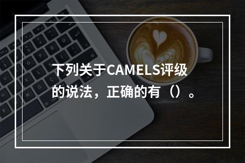 下列关于CAMELS评级的说法，正确的有（）。