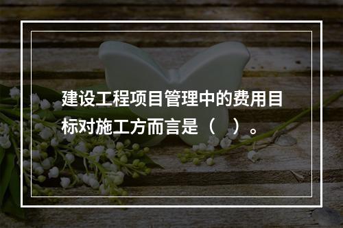 建设工程项目管理中的费用目标对施工方而言是（　）。